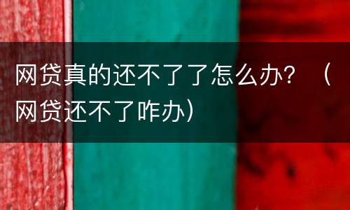 网贷真的还不了了怎么办？（网贷还不了咋办）