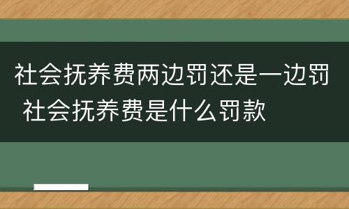 社会抚养费两边罚还是一边罚 社会抚养费是什么罚款