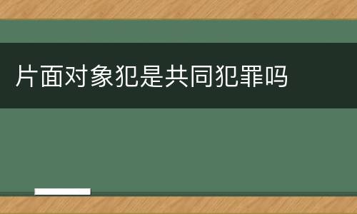 片面对象犯是共同犯罪吗