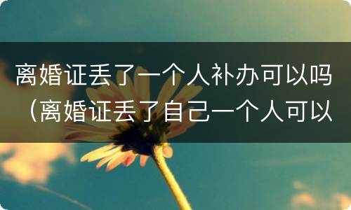离婚证丢了一个人补办可以吗（离婚证丢了自己一个人可以补办吗）