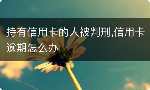持有信用卡的人被判刑,信用卡逾期怎么办