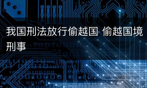我国刑法放行偷越国 偷越国境刑事