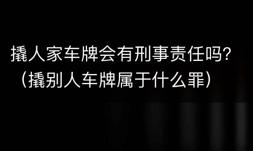 撬人家车牌会有刑事责任吗？（撬别人车牌属于什么罪）