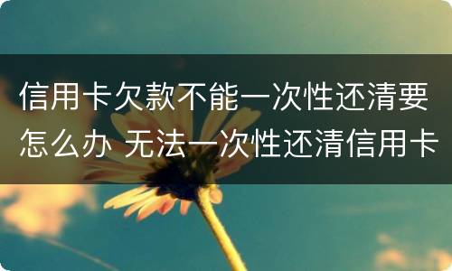 信用卡欠款不能一次性还清要怎么办 无法一次性还清信用卡