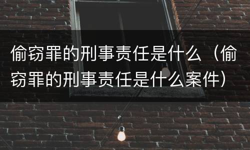 偷窃罪的刑事责任是什么（偷窃罪的刑事责任是什么案件）