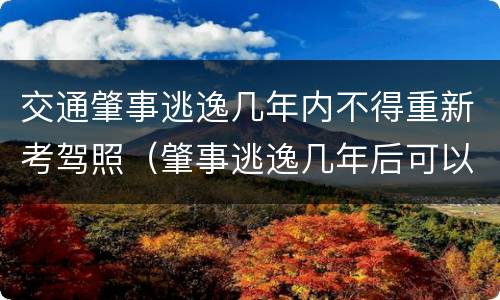 交通肇事逃逸几年内不得重新考驾照（肇事逃逸几年后可以重考驾驶证）