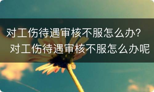 对工伤待遇审核不服怎么办？ 对工伤待遇审核不服怎么办呢