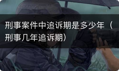 刑事案件中追诉期是多少年（刑事几年追诉期）