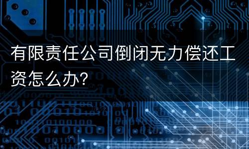 有限责任公司倒闭无力偿还工资怎么办？