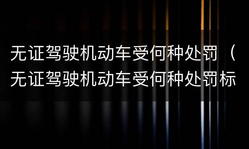 无证驾驶机动车受何种处罚（无证驾驶机动车受何种处罚标准）