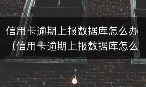 信用卡逾期上报数据库怎么办（信用卡逾期上报数据库怎么办,会导致我不能坐车吗）