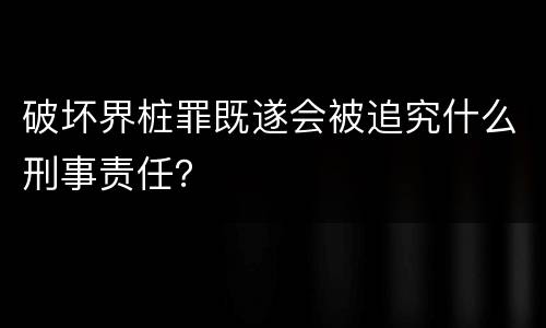 破坏界桩罪既遂会被追究什么刑事责任？