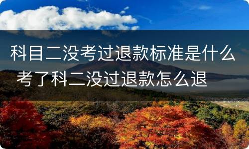 科目二没考过退款标准是什么 考了科二没过退款怎么退