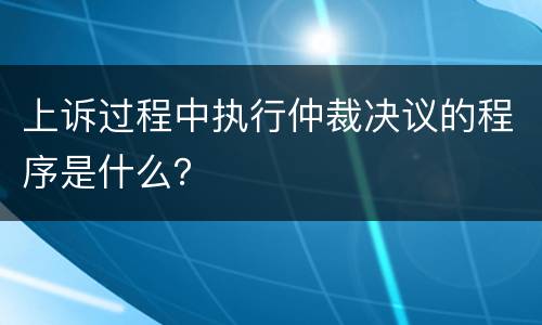 上诉过程中执行仲裁决议的程序是什么？