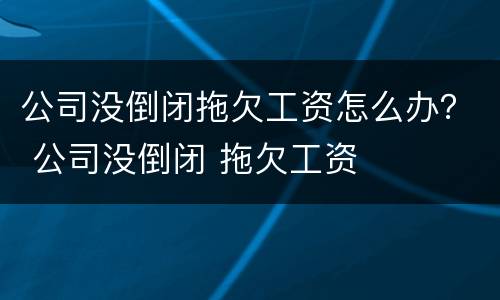公司没倒闭拖欠工资怎么办？ 公司没倒闭 拖欠工资