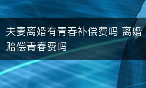 夫妻离婚有青春补偿费吗 离婚赔偿青春费吗