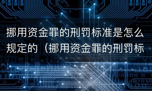 挪用资金罪的刑罚标准是怎么规定的（挪用资金罪的刑罚标准是怎么规定的呢）