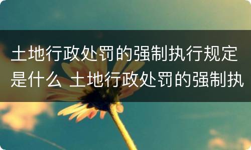 土地行政处罚的强制执行规定是什么 土地行政处罚的强制执行规定是什么意思