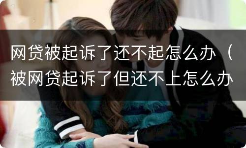网贷被起诉了还不起怎么办（被网贷起诉了但还不上怎么办）