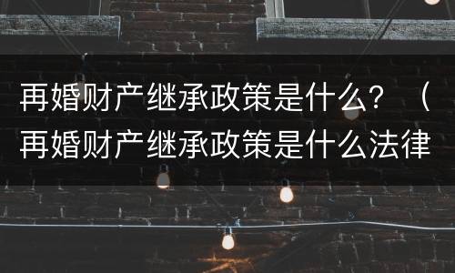 再婚财产继承政策是什么？（再婚财产继承政策是什么法律）