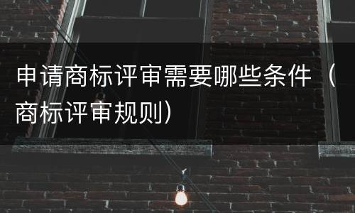 申请商标评审需要哪些条件（商标评审规则）