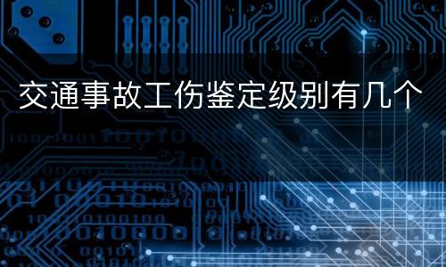 交通事故工伤鉴定级别有几个