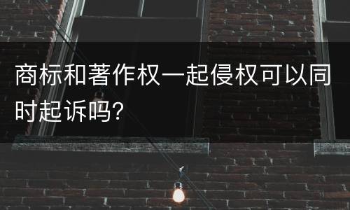 商标和著作权一起侵权可以同时起诉吗？