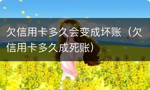 欠信用卡多久会变成坏账（欠信用卡多久成死账）