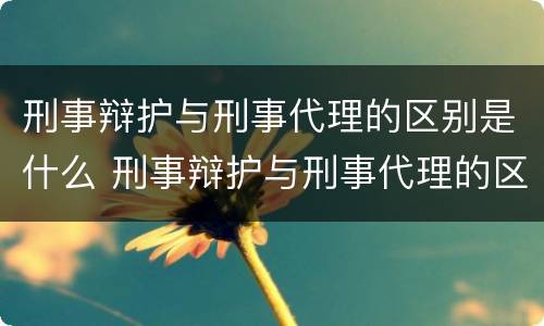刑事辩护与刑事代理的区别是什么 刑事辩护与刑事代理的区别是什么?