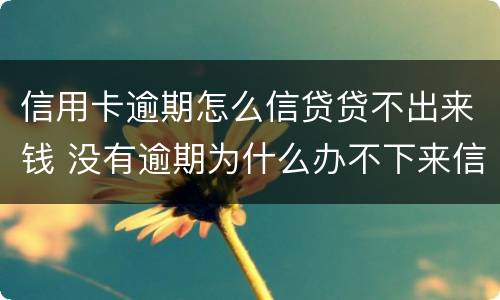 信用卡逾期怎么信贷贷不出来钱 没有逾期为什么办不下来信用卡