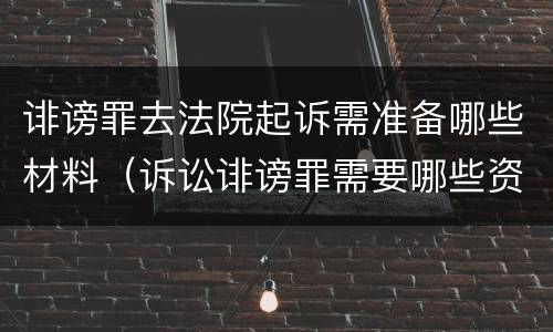 诽谤罪去法院起诉需准备哪些材料（诉讼诽谤罪需要哪些资料）