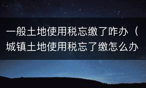 一般土地使用税忘缴了咋办（城镇土地使用税忘了缴怎么办）