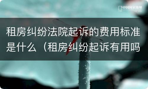 租房纠纷法院起诉的费用标准是什么（租房纠纷起诉有用吗）