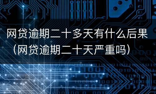 网贷逾期二十多天有什么后果（网贷逾期二十天严重吗）
