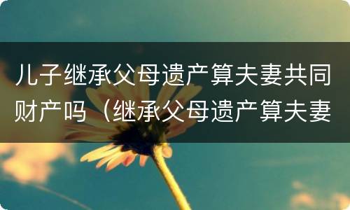 儿子继承父母遗产算夫妻共同财产吗（继承父母遗产算夫妻共有财产吗）