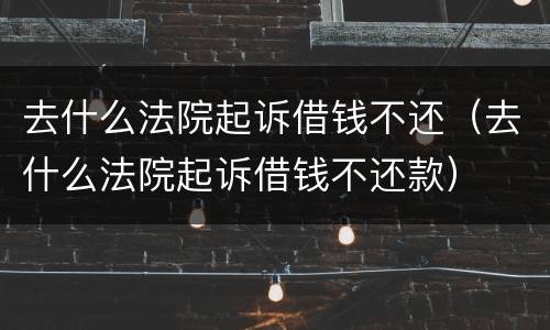 去什么法院起诉借钱不还（去什么法院起诉借钱不还款）