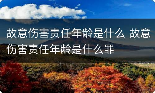 故意伤害责任年龄是什么 故意伤害责任年龄是什么罪
