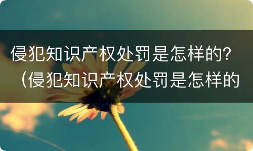 侵犯知识产权处罚是怎样的？（侵犯知识产权处罚是怎样的法律）