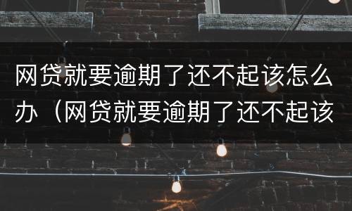 网贷就要逾期了还不起该怎么办（网贷就要逾期了还不起该怎么办呢）