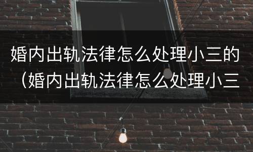 婚内出轨法律怎么处理小三的（婚内出轨法律怎么处理小三的关系）