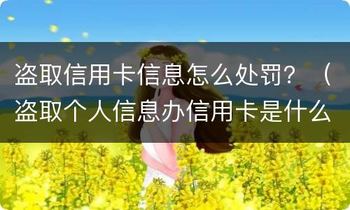 盗取信用卡信息怎么处罚？（盗取个人信息办信用卡是什么案件）