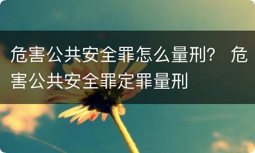 危害公共安全罪怎么量刑？ 危害公共安全罪定罪量刑
