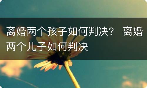 离婚两个孩子如何判决？ 离婚两个儿子如何判决