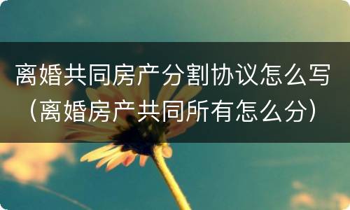 离婚共同房产分割协议怎么写（离婚房产共同所有怎么分）