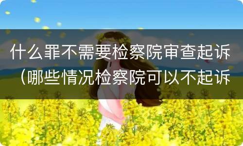什么罪不需要检察院审查起诉（哪些情况检察院可以不起诉）