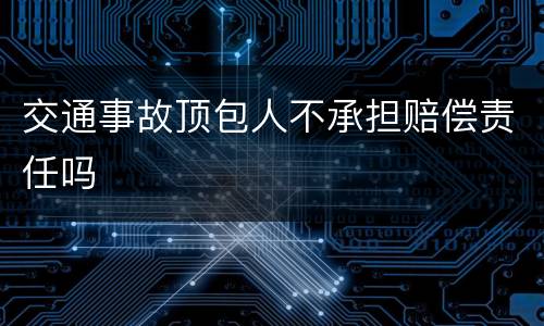 交通事故顶包人不承担赔偿责任吗