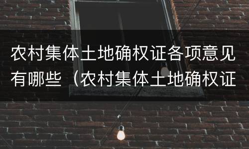 农村集体土地确权证各项意见有哪些（农村集体土地确权证各项意见有哪些要求）