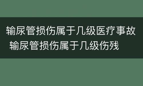 输尿管损伤属于几级医疗事故 输尿管损伤属于几级伤残