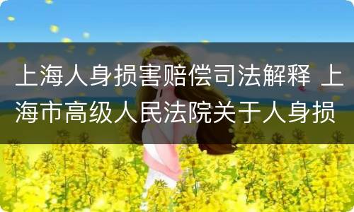 上海人身损害赔偿司法解释 上海市高级人民法院关于人身损害赔偿