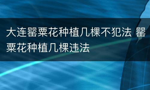 大连罂粟花种植几棵不犯法 罂粟花种植几棵违法